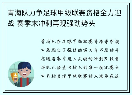 青海队力争足球甲级联赛资格全力迎战 赛季末冲刺再现强劲势头