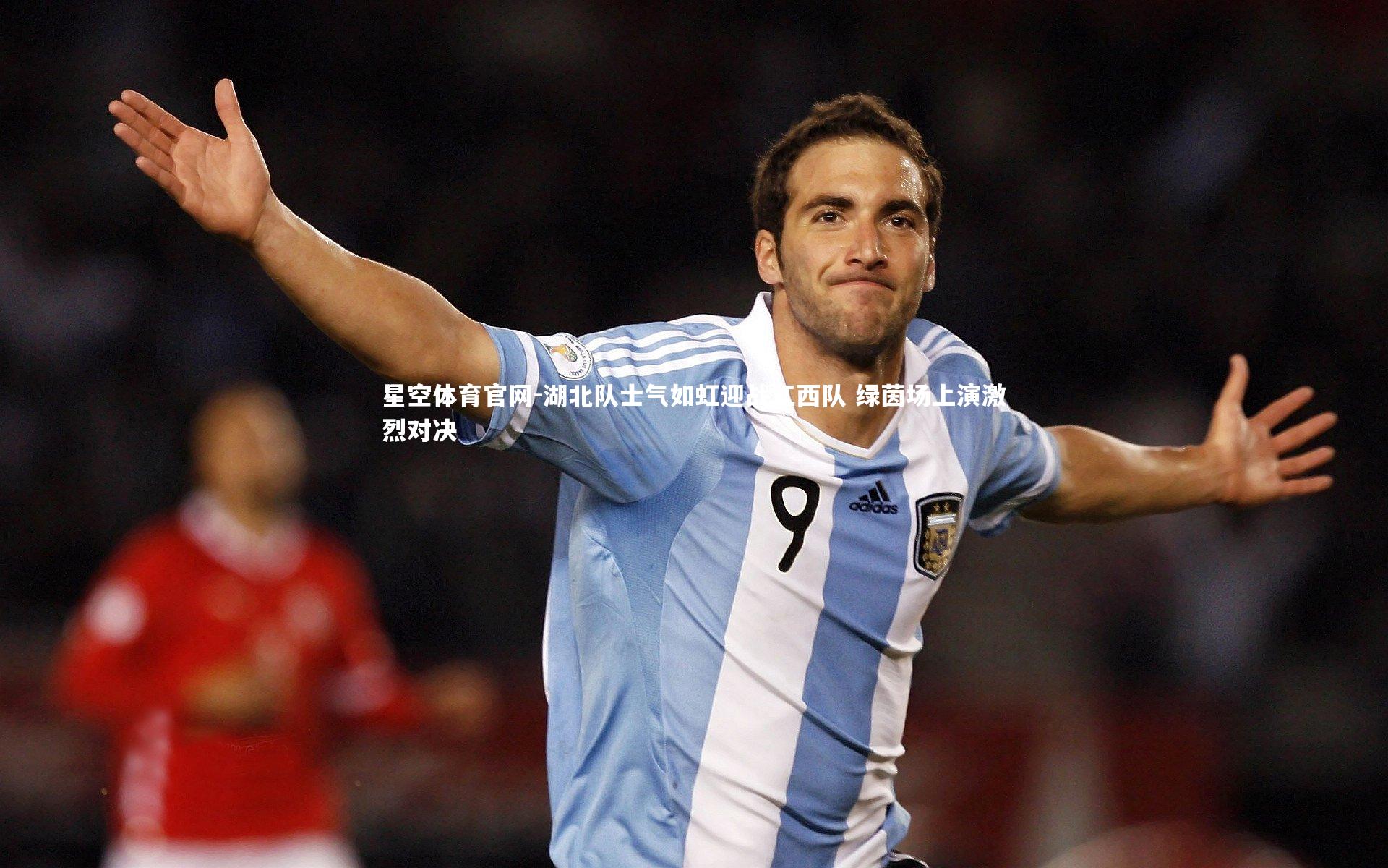 湖北队士气如虹迎战江西队 绿茵场上演激烈对决